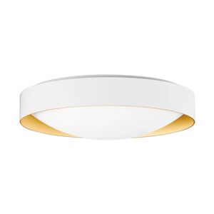 BEGA Studio Line stropné svetlo Ø36cm biela/mosadz