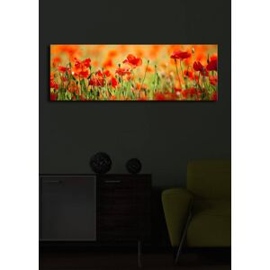 Obraz s led osvetlením Sean 90x30 cm