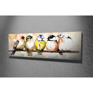 Obraz Ptáčci 30x80 cm