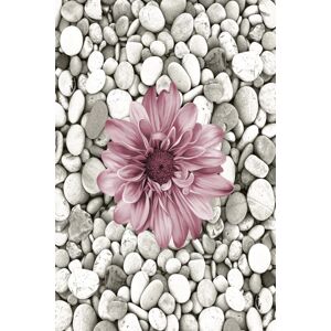 Koberec Bloom 60x100 cm šedý/růžový
