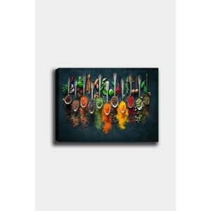Obraz KORENIE 50x70 cm viacfarebný