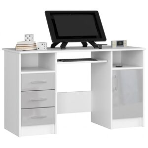 Volně stojící psací stůl Ana 124 cm bílý/světle šedý lesk